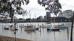 pb011051_thumb.jpg