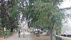 pb011053_thumb.jpg