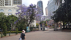 pb011056_thumb.jpg