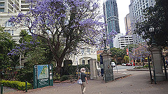 pb011057_thumb.jpg