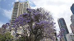 pb011058_thumb.jpg
