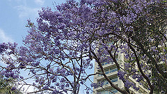 pb011060_thumb.jpg