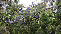 pb011061_thumb.jpg