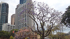 pb011062_thumb.jpg