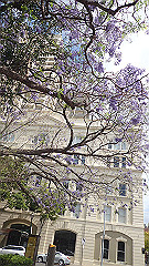 pb011063_thumb.jpg