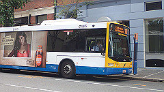 pb011071_thumb.jpg