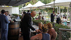 dsc00079_thumb.jpg