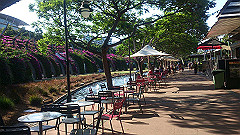 dsc_0186_thumb.jpg