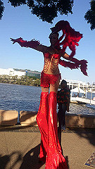 dsc_0211_thumb.jpg