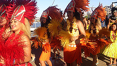dsc_0220_thumb.jpg