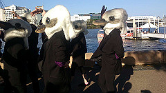 dsc_0222_thumb.jpg