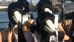 dsc_0252_thumb.jpg