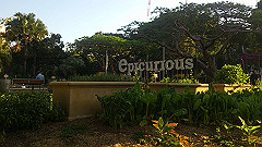 dsc_0279_thumb.jpg