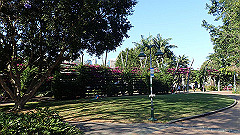 pb011174_thumb.jpg