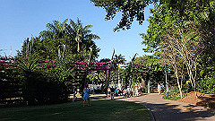 pb011176_thumb.jpg