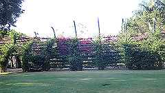 pb011177_thumb.jpg