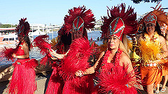 pb011217_thumb.jpg