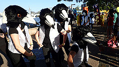 pb011234_thumb.jpg