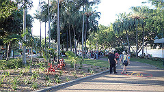pb011279_thumb.jpg
