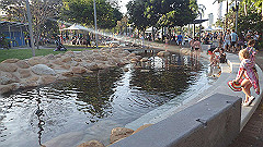 pb011280_thumb.jpg
