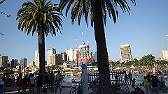 pb011286_thumb.jpg