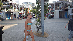 pb011288_thumb.jpg
