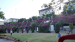 pb011289_thumb.jpg
