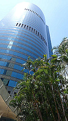 pb021345_thumb.jpg
