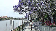 pb021347_thumb.jpg