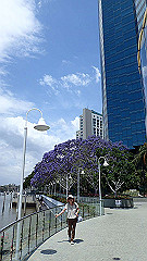 pb021348_thumb.jpg