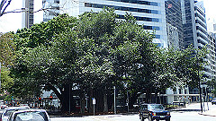 pb021365_thumb.jpg