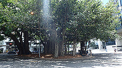 pb021369_thumb.jpg