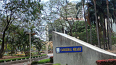 pb021388_thumb.jpg