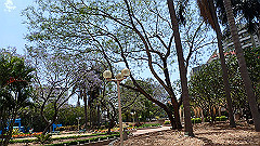 pb021389_thumb.jpg