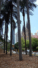 pb021391_thumb.jpg