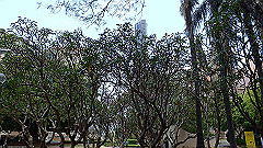 pb021392_thumb.jpg
