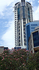 pb021396_thumb.jpg
