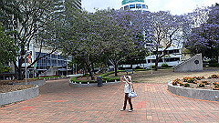 pb021397_thumb.jpg