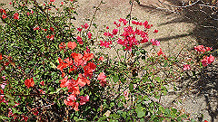 pb021441_thumb.jpg