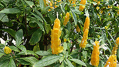 pb021492_thumb.jpg