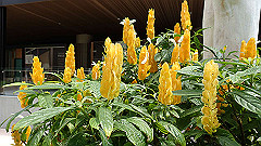 pb021494_thumb.jpg