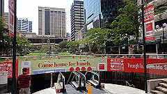 pb021496_thumb.jpg