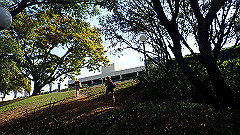pb021572_thumb.jpg