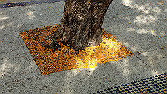 pb021579_thumb.jpg