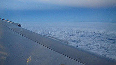 pb031617_thumb.jpg