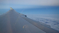 pb031618_thumb.jpg