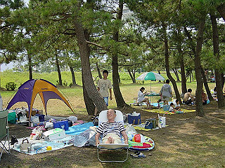 dsc00042_thumb.jpg