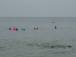 dsc00090_thumb.jpg