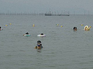 dsc00093_thumb.jpg