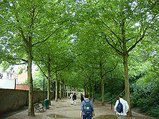 dsc00672_thumb.jpg